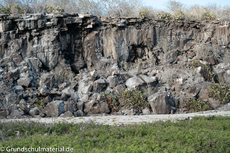 Galapagos-Natur18.jpg